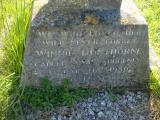 image of grave number 313082